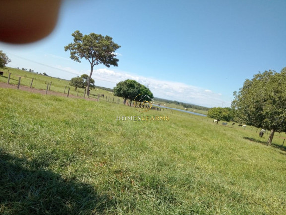 Imagem Imóvel com 3 Quartos à Venda, 1.240 m² em Centro - Nobres Imagem Imóvel com 3 Quartos à Venda, 1.240 m² em Centro - Nobres