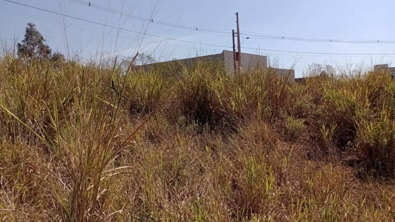Imagem Terreno à Venda, 300 m² em Alto Da Boa Vista - Piedade