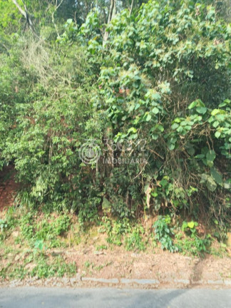 Imagem Terreno à Venda, 35.110 m² em Pilar Velho - Ribeirão Pires Imagem Terreno à Venda, 35.110 m² em Pilar Velho - Ribeirão Pires