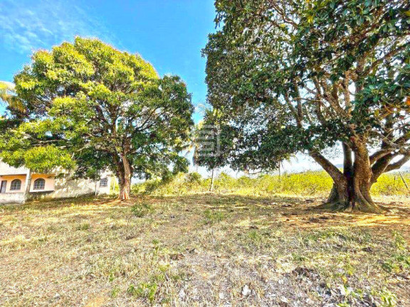 Imagem Terreno à Venda, 117.000 m² em Lameirão - Guarapari