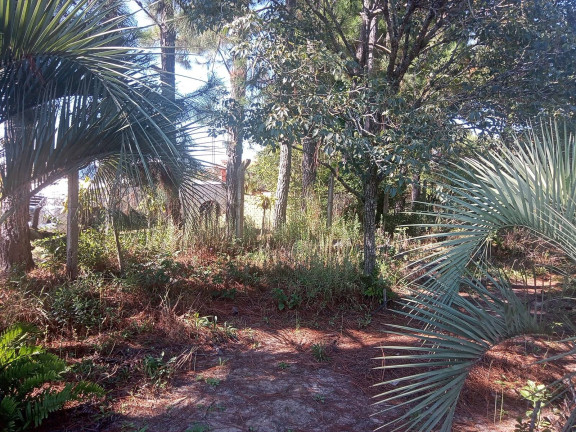 Imagem Chácara com 3 Quartos à Venda, 2.056 m² em águas Claras - Viamão