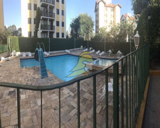 Imagem Apartamento com 2 Quartos à Venda, 56 m² em Chácara Nossa Senhora Do Bom Conselho - São Paulo Imagem Apartamento com 2 Quartos à Venda, 56 m² em Chácara Nossa Senhora Do Bom Conselho - São Paulo