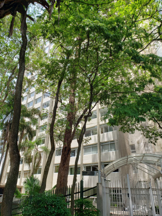 Imagem Imóvel com 3 Quartos à Venda, 225 m² em Alto Da Boa Vista - São Paulo Imagem Imóvel com 3 Quartos à Venda, 225 m² em Alto Da Boa Vista - São Paulo