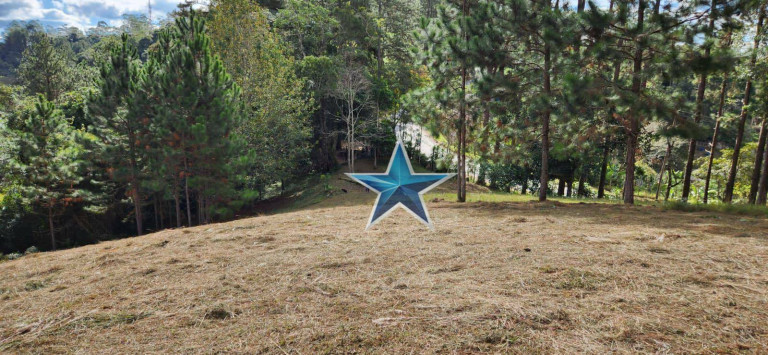 Imagem Imóvel à Venda, 74.000 m² em Fazenda Vitoria - São Lourenço Da Serra
