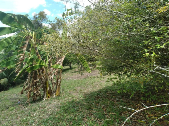 Imagem Terreno à Venda, 2.800 m² em Rural - Paudalho Imagem Terreno à Venda, 2.800 m² em Rural - Paudalho
