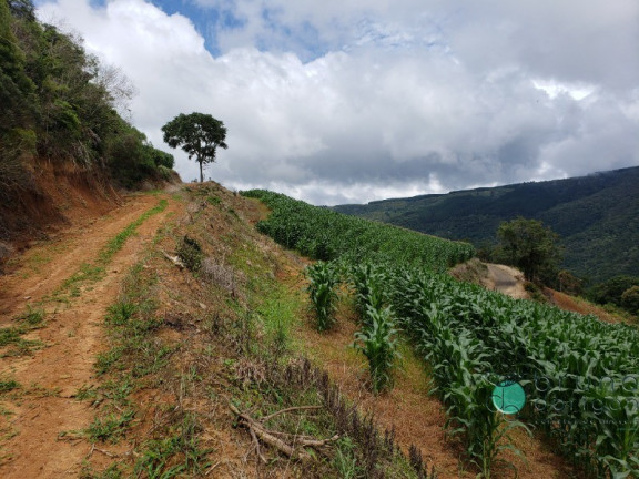Imagem Imóvel com 1 Quarto à Venda, 60.000 m² em Zona Rural - Alfredo Wagner