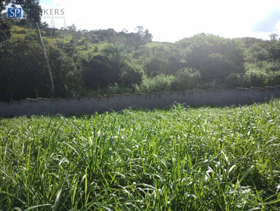 Terreno à Venda, 300 m² em Condomínio Bosque Da Mata - Valinhos