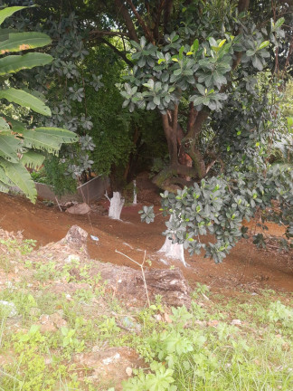Imagem Terreno à Venda, 1.082 m² em Pernambués - Salvador Imagem Terreno à Venda, 1.082 m² em Pernambués - Salvador