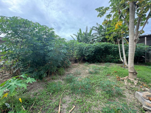 Imagem Terreno à Venda, 300 m² em São Francisco Da Praia - São Sebastião