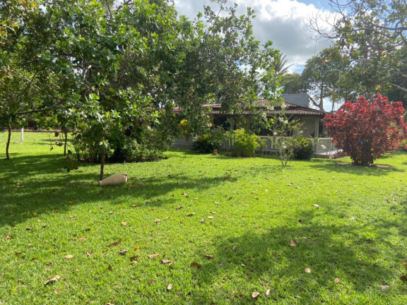 Imagem Imóvel com 4 Quartos à Venda, 30.500 m² em Cachoeira - Salvador Imagem Imóvel com 4 Quartos à Venda, 30.500 m² em Cachoeira - Salvador