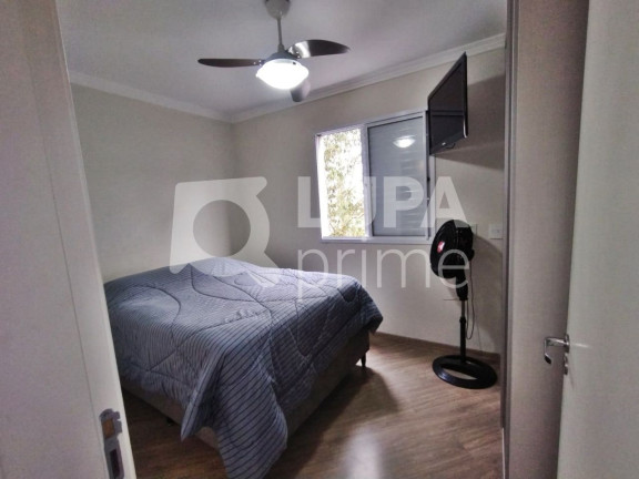 Imagem Apartamento com 3 Quartos à Venda, 69 m² em Vila Guilherme - São Paulo Imagem Apartamento com 3 Quartos à Venda, 69 m² em Vila Guilherme - São Paulo
