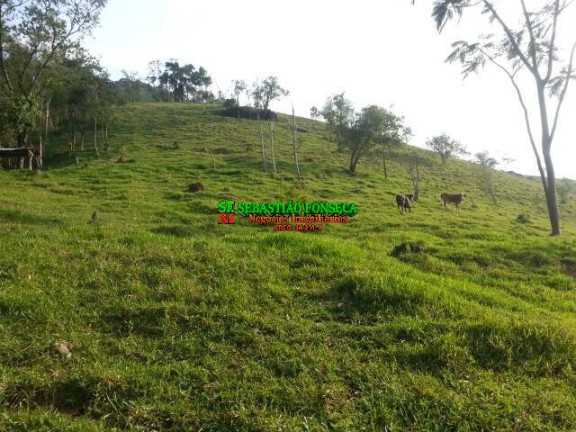 Imagem Chácara à Venda, 20.000 m² em São Francisco Xavier - São José Dos Campos Imagem Chácara à Venda, 20.000 m² em São Francisco Xavier - São José Dos Campos
