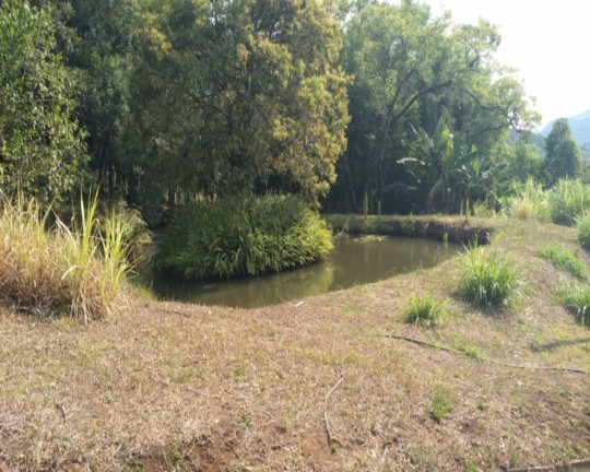Imagem Imóvel com 2 Quartos à Venda,  em Vila Rica - Feliz