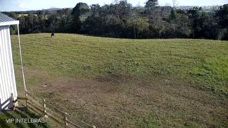 Imagem Imóvel com 4 Quartos à Venda, 206.533 m² em Riozinho De Baixo - Rebouças