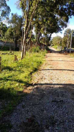 Imagem Terreno à Venda, em Planta Laranjeiras - Piraquara Imagem Terreno à Venda, em Planta Laranjeiras - Piraquara
