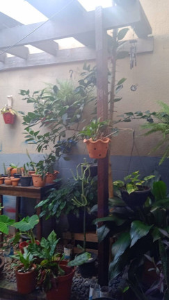 Imagem Casa com 4 Quartos à Venda, em Recanto Dos Pássaros - Cuiabá Imagem Casa com 4 Quartos à Venda, em Recanto Dos Pássaros - Cuiabá
