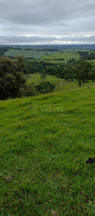Imagem Imóvel à Venda,  em Tatetu - Alambari