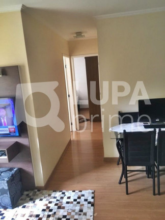 Imagem Apartamento com 2 Quartos à Venda, 53 m² em Vila Gustavo - São Paulo Imagem Apartamento com 2 Quartos à Venda, 53 m² em Vila Gustavo - São Paulo