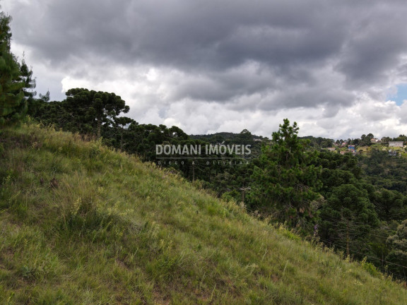 Imagem Terreno à Venda, 2.080 m² em Região Do Vale Encantado - Campos Do Jordão Imagem Terreno à Venda, 2.080 m² em Região Do Vale Encantado - Campos Do Jordão