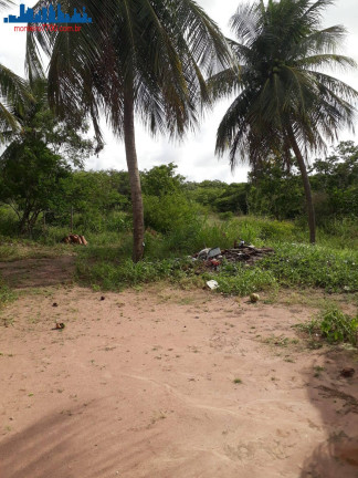 Imagem Chácara à Venda, 4 m² em Guajirú - São Gonçalo Do Amarante Imagem Chácara à Venda, 4 m² em Guajirú - São Gonçalo Do Amarante