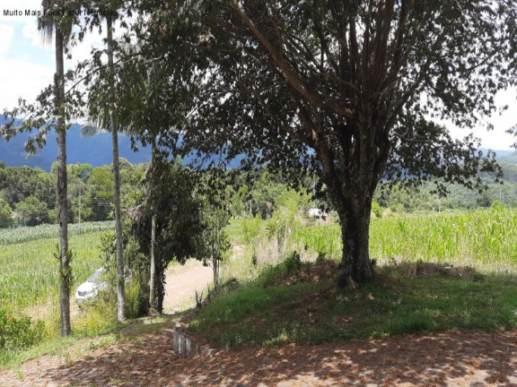 Imagem Imóvel com 3 Quartos à Venda, 142 m² em Linha Brasil - Nova Petrópolis Imagem Imóvel com 3 Quartos à Venda, 142 m² em Linha Brasil - Nova Petrópolis
