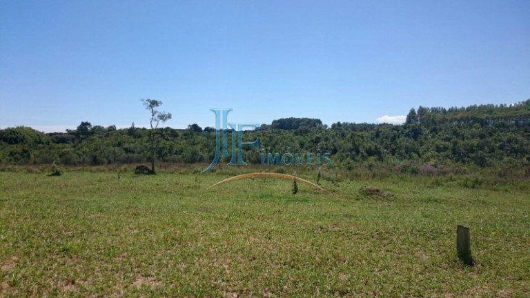 Imagem Imóvel com 4 Quartos à Venda, 156.000 m² em Centro - Itamogi Imagem Imóvel com 4 Quartos à Venda, 156.000 m² em Centro - Itamogi