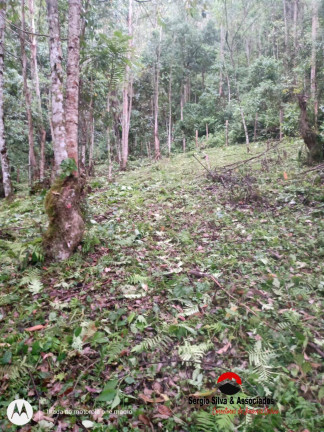 Imagem Terreno à Venda, 8 m² em Bairro Do Centro - Piranguçu Imagem Terreno à Venda, 8 m² em Bairro Do Centro - Piranguçu