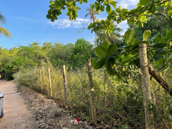 Imagem Terreno à Venda, 795 m² em Santo Antonio - Santa Cruz Cabrália Imagem Terreno à Venda, 795 m² em Santo Antonio - Santa Cruz Cabrália