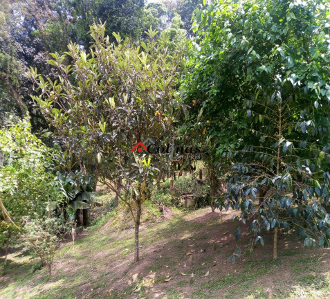 Imagem Imóvel com 4 Quartos à Venda, 1.888 m² em Depois Do Centro - Ibiúna Imagem Imóvel com 4 Quartos à Venda, 1.888 m² em Depois Do Centro - Ibiúna