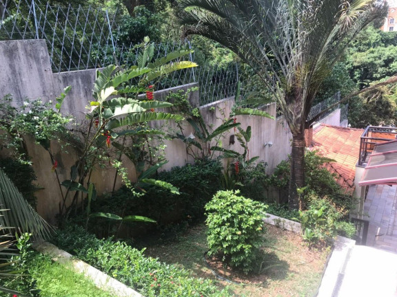 Imagem Casa com 4 Quartos à Venda, 430 m² em Fazenda Morumbi - São Paulo Imagem Casa com 4 Quartos à Venda, 430 m² em Fazenda Morumbi - São Paulo