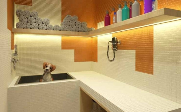 Imagem Apartamento com 2 Quartos à Venda, 53 m² em Tucuruvi - São Paulo Imagem Apartamento com 2 Quartos à Venda, 53 m² em Tucuruvi - São Paulo