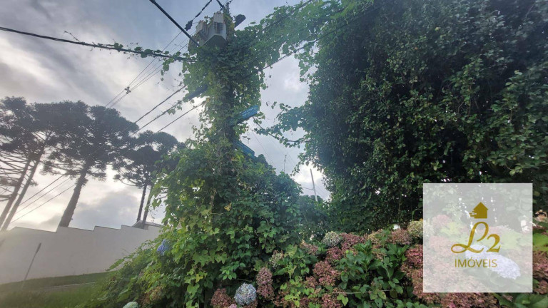 Imagem Terreno à Venda, 512 m² em Santo Inácio - Curitiba Imagem Terreno à Venda, 512 m² em Santo Inácio - Curitiba