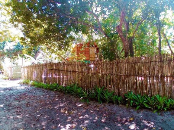 Imagem Casa à Venda,  em Algodões - Marau