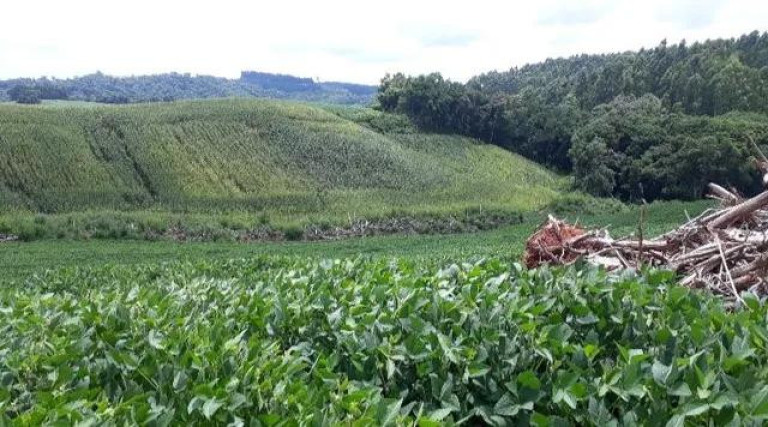 Imagem Imóvel à Venda, 30.000 m² em Quitandinha - Quitandinha Imagem Imóvel à Venda, 30.000 m² em Quitandinha - Quitandinha