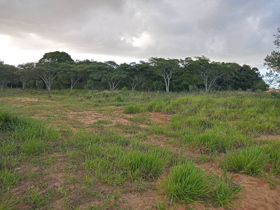 Imagem Chácara à Venda, 20.000 m² em águas Claras - Viamão Imagem Chácara à Venda, 20.000 m² em águas Claras - Viamão