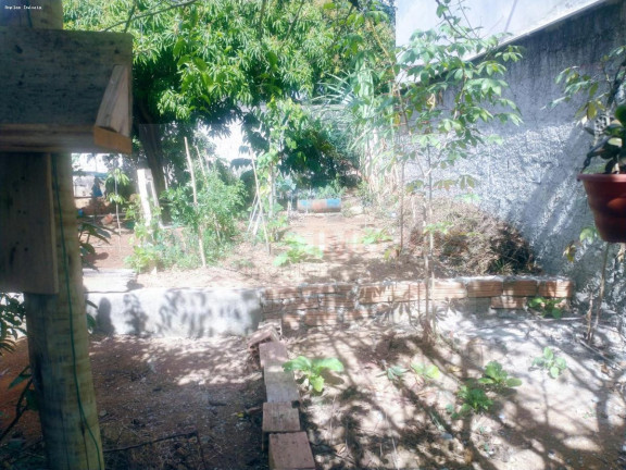 Imagem Casa com 1 Quarto à Venda, 65 m² em Vila Suzana - Mateus Leme