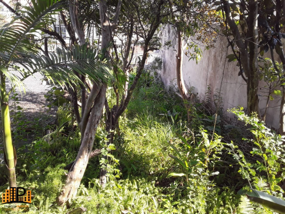 Imagem Terreno à Venda, 300 m² em Parque Dos Passaros - São Bernardo Do Campo
