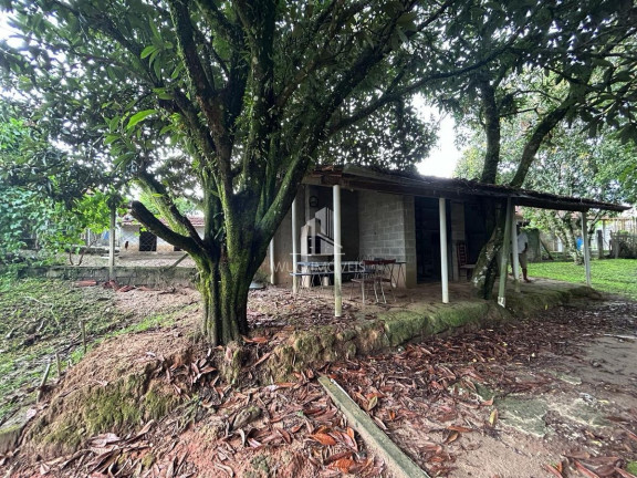 Imagem Chácara com 3 Quartos à Venda, 78 m² em Toca Do Leitão - Santa Branca Imagem Chácara com 3 Quartos à Venda, 78 m² em Toca Do Leitão - Santa Branca