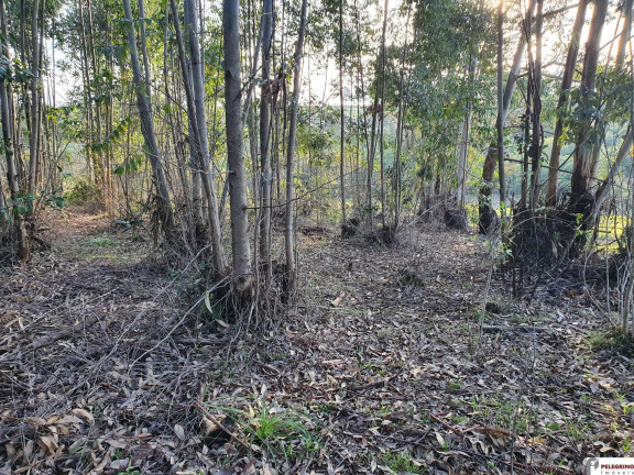 Imagem Imóvel com 3 Quartos à Venda, 120 m² em Zona Rural - Tapes Imagem Imóvel com 3 Quartos à Venda, 120 m² em Zona Rural - Tapes