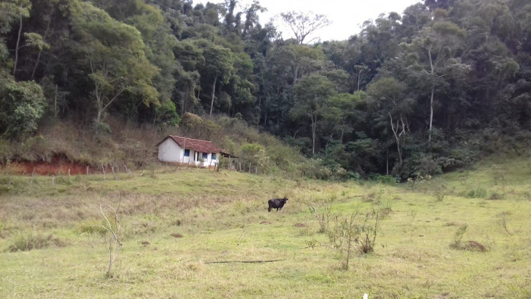 Imagem Imóvel com 7 Quartos à Venda, 400 m² em águas Claras - São José Do Vale Do Rio Preto