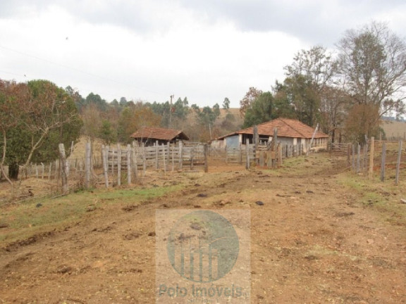 Imagem Imóvel com 4 Quartos à Venda, 1.694.000 m² em Zona Rural - Jacui