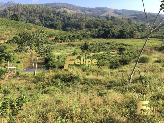 Imagem Imóvel com 1 Quarto à Venda, 55 m² em área Rural De Colatina - Colatina