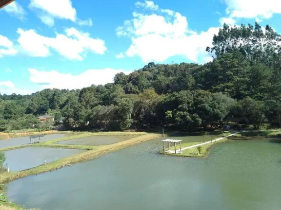 Imagem Imóvel com 3 Quartos à Venda, 20.000 m² em Palmitalzinho - Quatro Barras