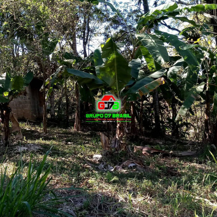 Imagem Chácara à Venda, 164.560 m² em Sob. Consulta - Paraibuna Imagem Chácara à Venda, 164.560 m² em Sob. Consulta - Paraibuna
