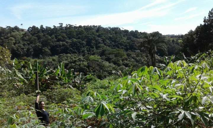 Imagem Imóvel à Venda, 1.400 m² em Boa Vista Dos Silva - Bragança Paulista Imagem Imóvel à Venda, 1.400 m² em Boa Vista Dos Silva - Bragança Paulista