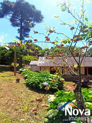 Imagem Imóvel à Venda,  em Linha Pirajá - Nova Petrópolis