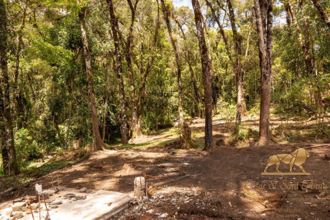 Imagem Terreno à Venda, 3.132 m² em Campos Do Jordão Imagem Terreno à Venda, 3.132 m² em Campos Do Jordão