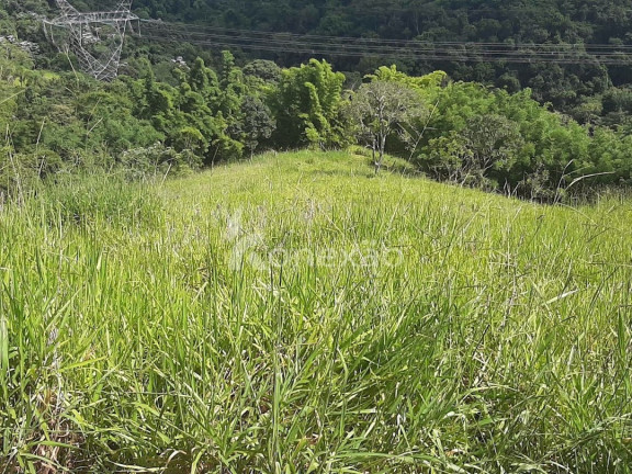 Imagem Chácara com 3 Quartos à Venda, 300 m² em Centro - Taubaté Imagem Chácara com 3 Quartos à Venda, 300 m² em Centro - Taubaté