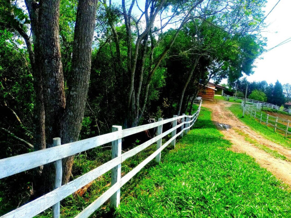 Imagem Chácara com 5 Quartos à Venda, 24.000 m² em Congonhas - Sarapuí