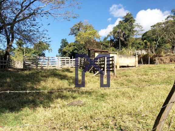Imagem Fazenda à Venda, 417.500 m² em área Rural De Itajubá - Itajubá Imagem Fazenda à Venda, 417.500 m² em área Rural De Itajubá - Itajubá